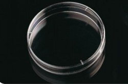 Deltalab - Petri Kabı 90x14 mm Steril A 