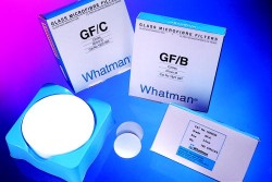 Cytiva- Whatman - GF/B Glass Circles, 37mm 100/pk