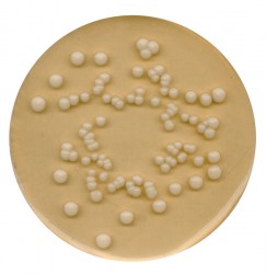 Potato Dextrose Agar (PDA) 500 gr - Thumbnail