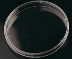 Deltalab - Petri Dish 140x20 mm 165 ad/pk (Petri Kabı)
